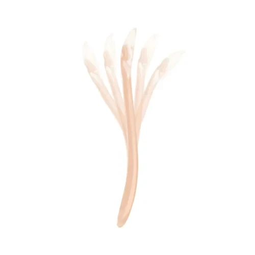 Babymoov Cuillère Silicone 1er Age Peach